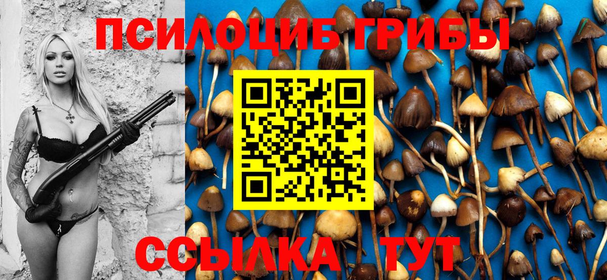 где купить   Вход с VPN  Вичуга  Галлюциногенные грибы Magic Shrooms 